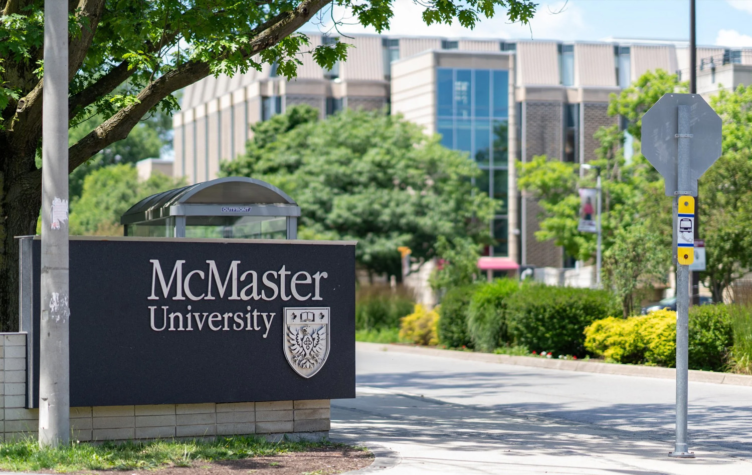 Mcmaster University