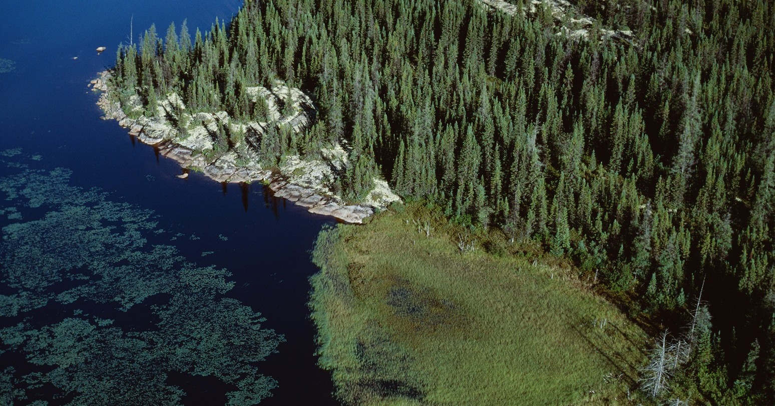 Aerial view of forest landscape with river, Canada