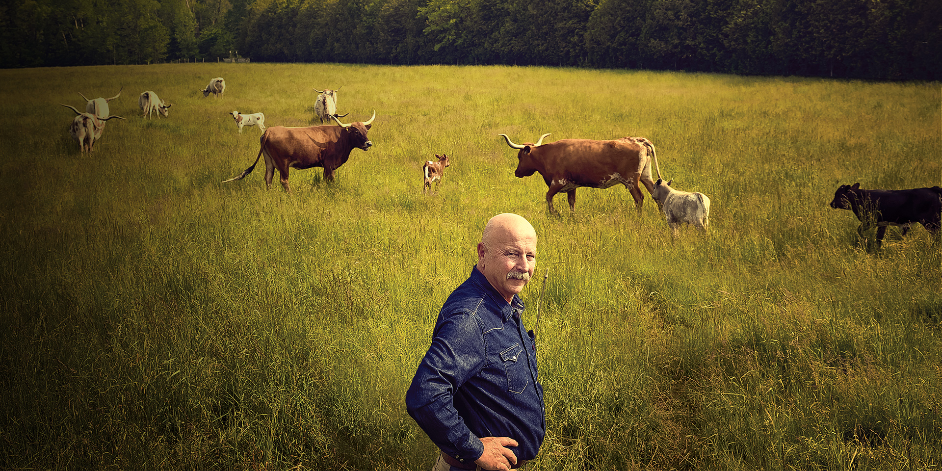 Alum Bryan Gilvesy stands with his hands on his hips in a field. A herd of cows can be seen behind him.