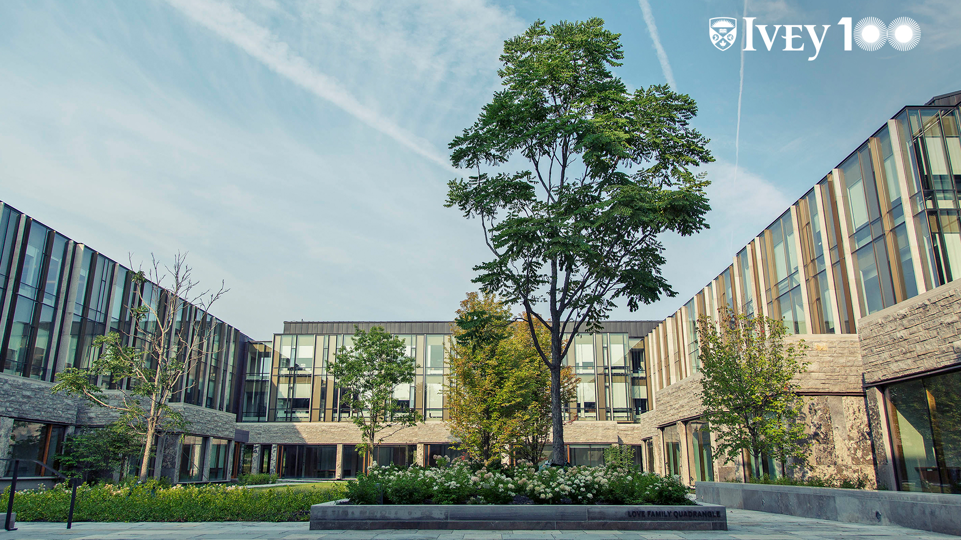 Standard zoom background image - Richard Ivey building Quad