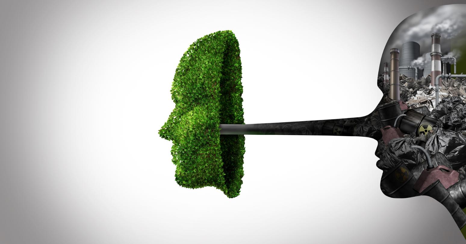 Greenwashing Research Banner