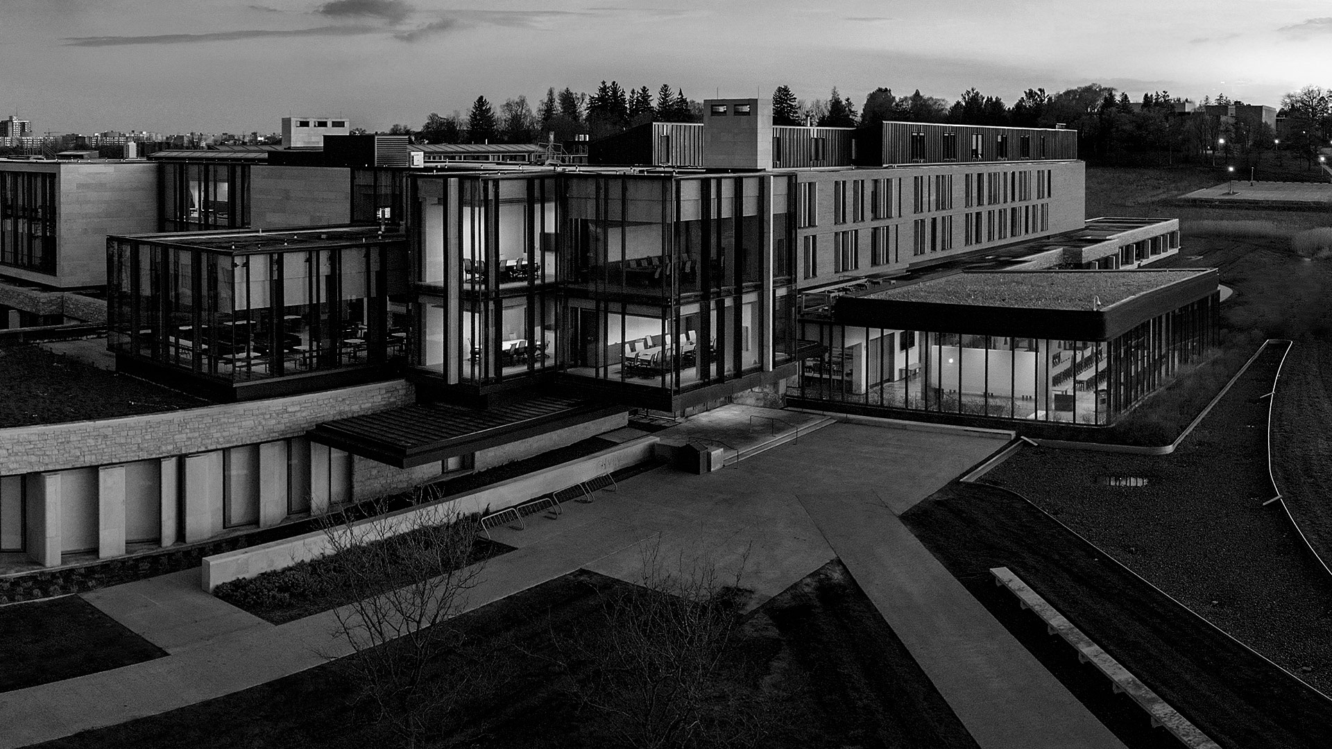 Black and white exterior shot of Ivey