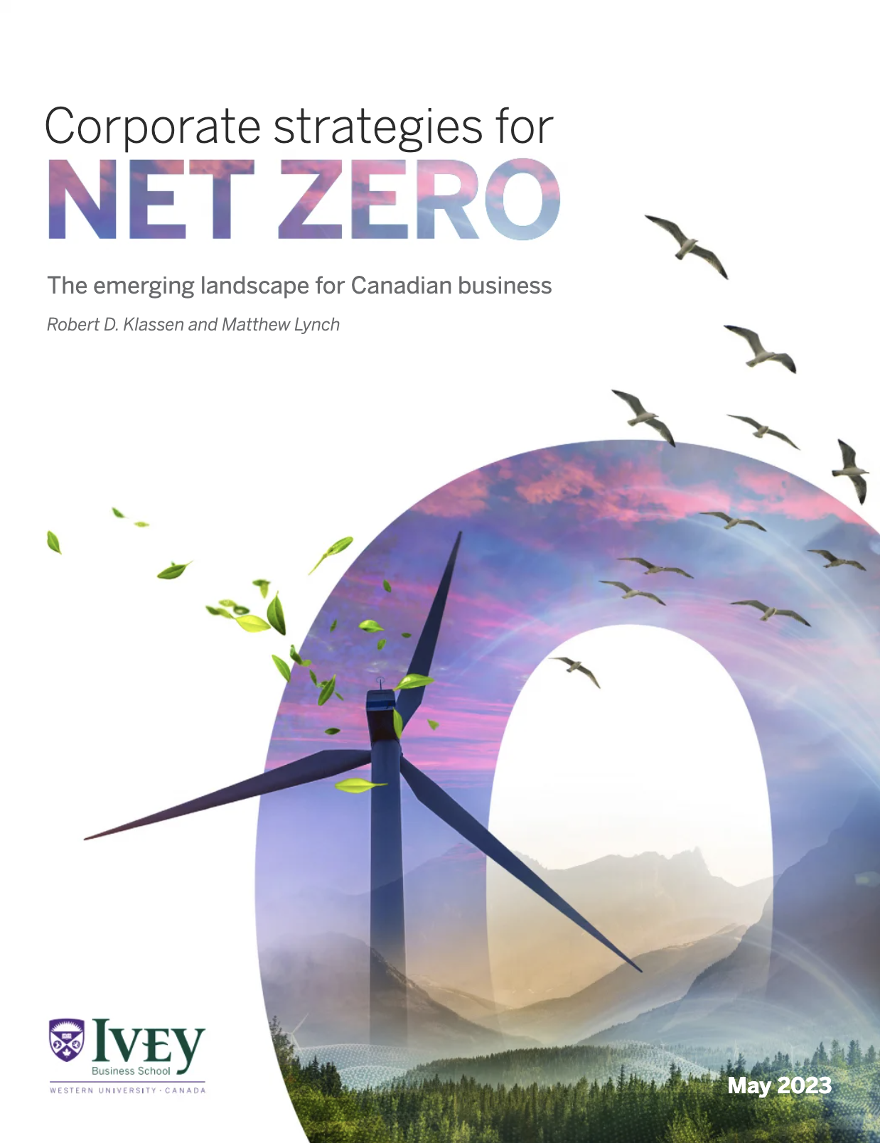 Corporate Strategies for Net Zero (1)