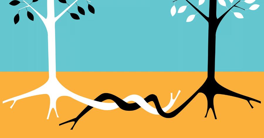 Illustration Of Two Trees With Their Roots Entwined