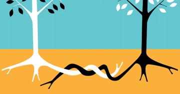 A new approach to building meaningful Indigenous partnerships